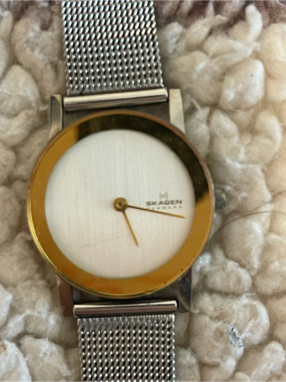 Skagen Silver Mesh Watch with Gold Bezel
